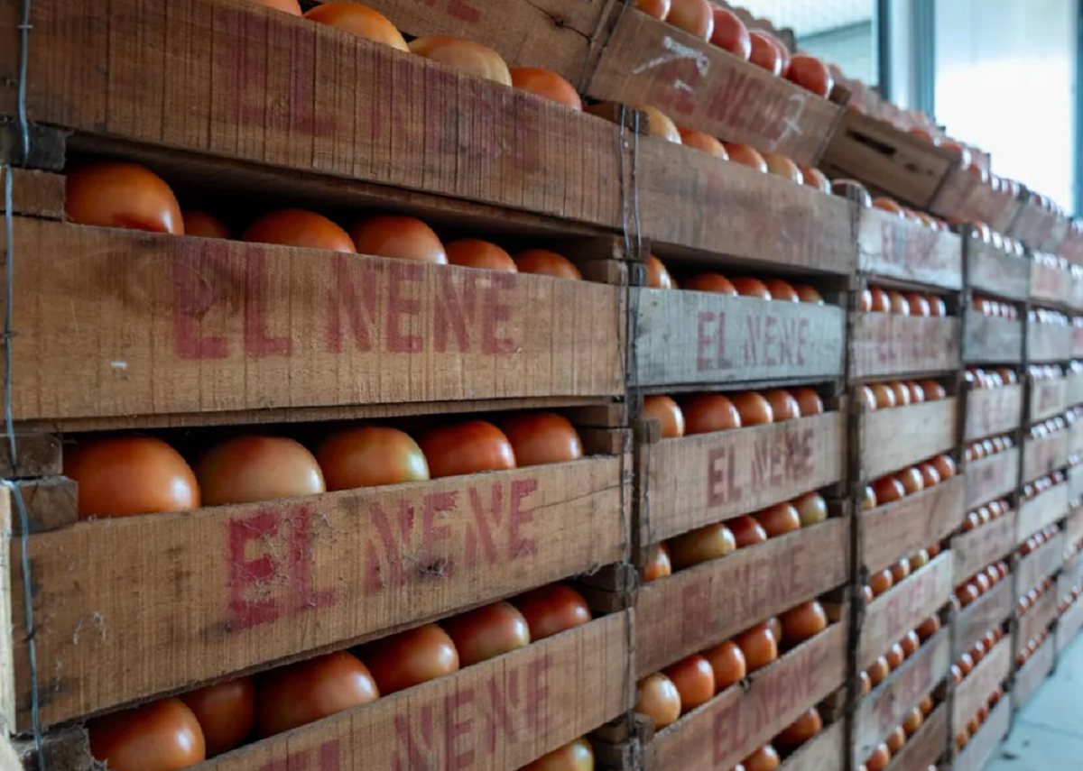 Operadores y compradores recorren los puestos de la Central Hortícola del Norte en una jornada de clima inestable.