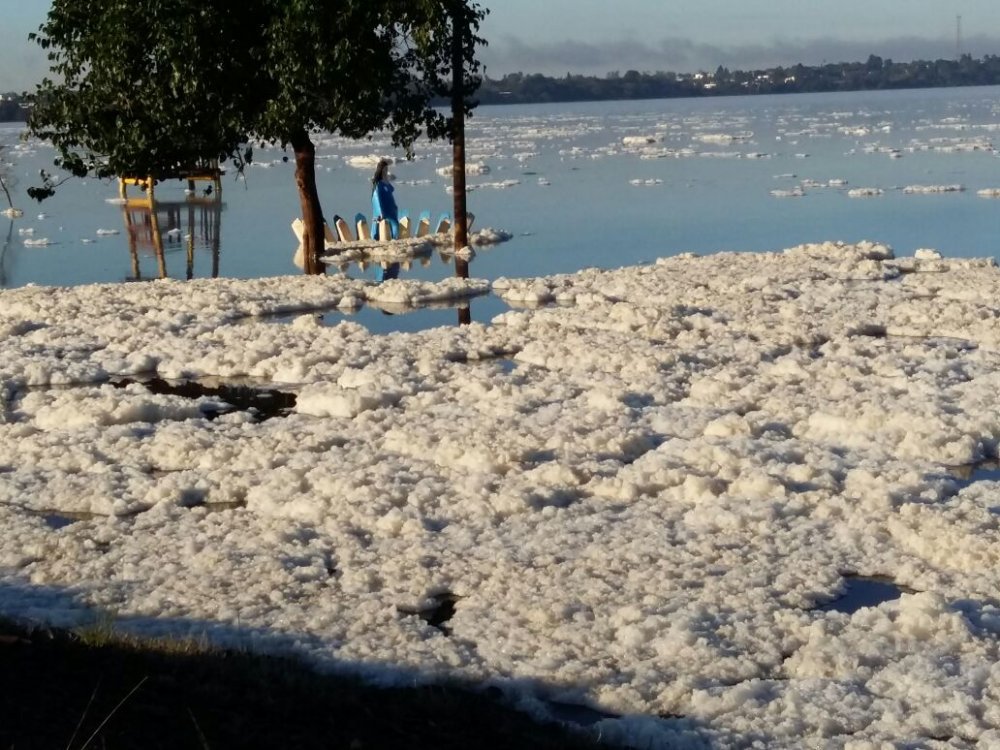 Acumulacion de espuma natural en el Rio Uruguay sobre la orilla de Salto