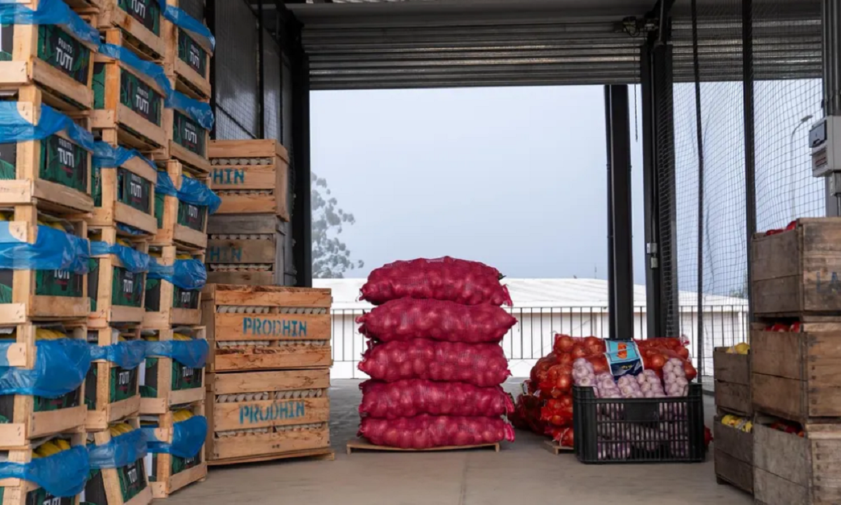 Puestos y cajones con verduras y frutas en la Central Hortícola del Norte durante una jornada de baja comercialización.