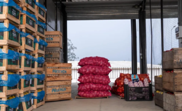 Puestos y cajones con verduras y frutas en la Central Hortícola del Norte durante una jornada de baja comercialización.