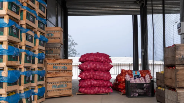 Puestos y cajones con verduras y frutas en la Central Hortícola del Norte durante una jornada de baja comercialización.