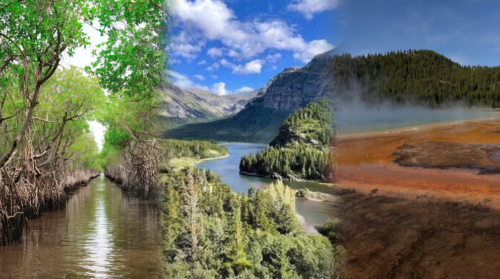 Vista de géiseres y paisajes geotérmicos en el Parque Nacional Yellowstone.