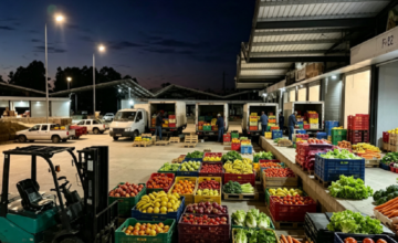Puestos de comercialización y cajones con frutas y verduras en la Central Hortícola del Norte.