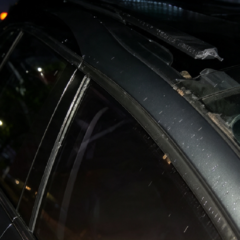 Tronco de árbol de gran tamaño caído sobre el techo y el capó de un automóvil estacionado en Salto.