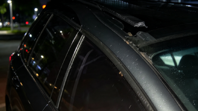 Tronco de árbol de gran tamaño caído sobre el techo y el capó de un automóvil estacionado en Salto.