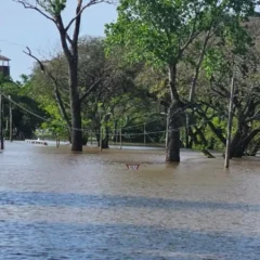 El río Uruguay crecido cubriendo la franja costera de la ciudad de Salto.