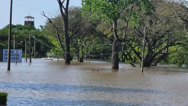 El río Uruguay crecido cubriendo la franja costera de la ciudad de Salto.